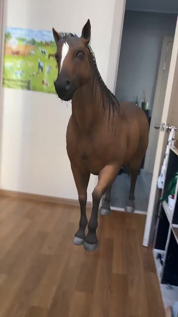 Preview for a Spotlight video that uses the horse Lens