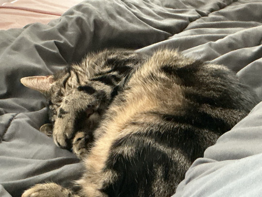 k07jls