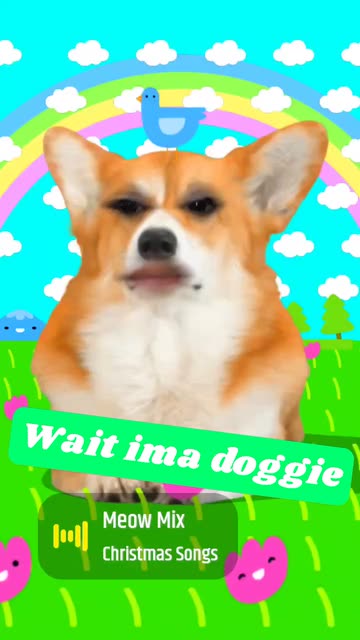 Preview for a Spotlight video that uses the Corgi Lens