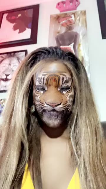 Preview for a Spotlight video that uses the Tiger Lens