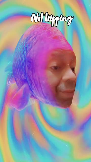 Preview for a Spotlight video that uses the Rainbow Fish Lens