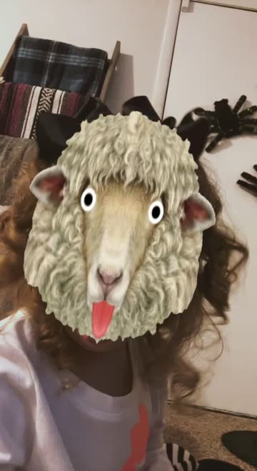 Preview for a Spotlight video that uses the sheep Lens