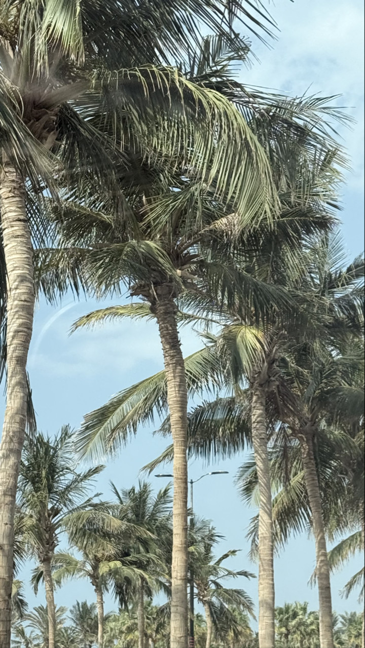 قصة سناب شات للحساب mr.zizo0o رقم 318