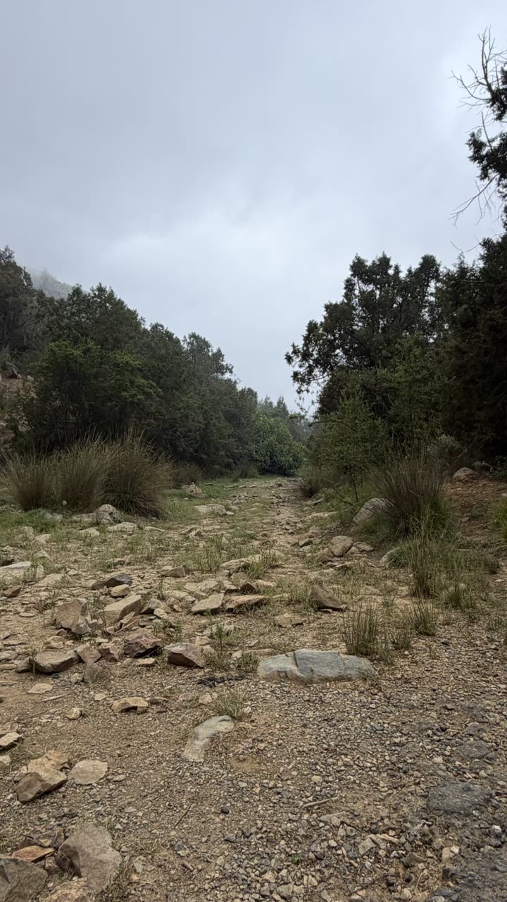 قصة سناب شات للحساب manos4e4 رقم 385