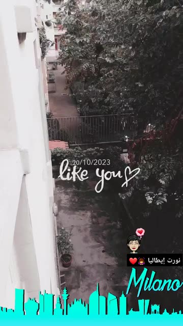 Preview for a Spotlight video that uses the like you Lens