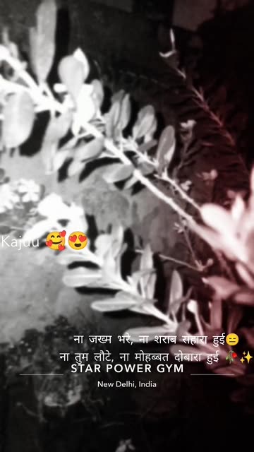 Preview for a Spotlight video that uses the Breakup shayari Lens
