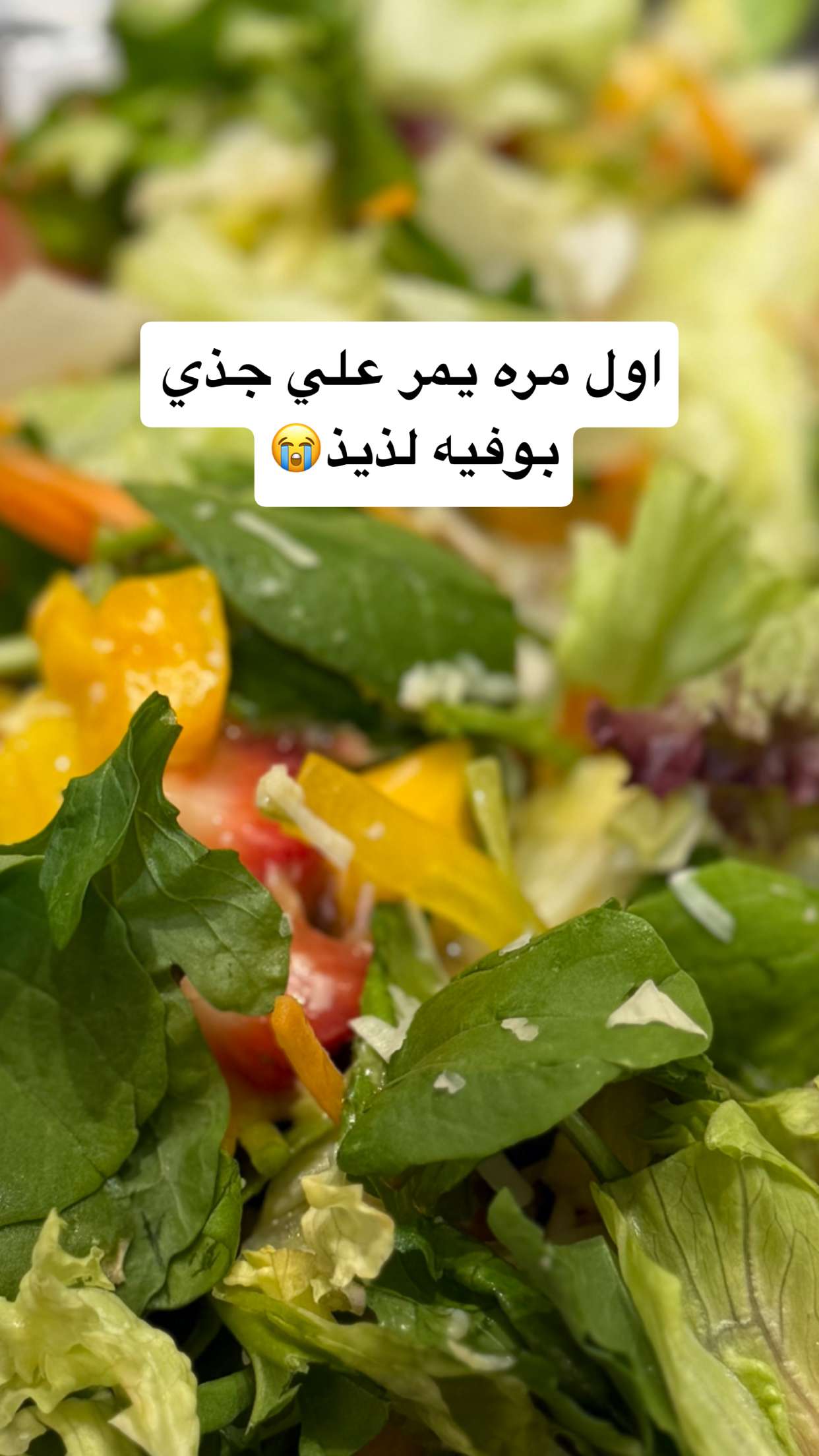 محتوى سناب شات لـ خلود اللميع 🪭 Aloooloo 🦚