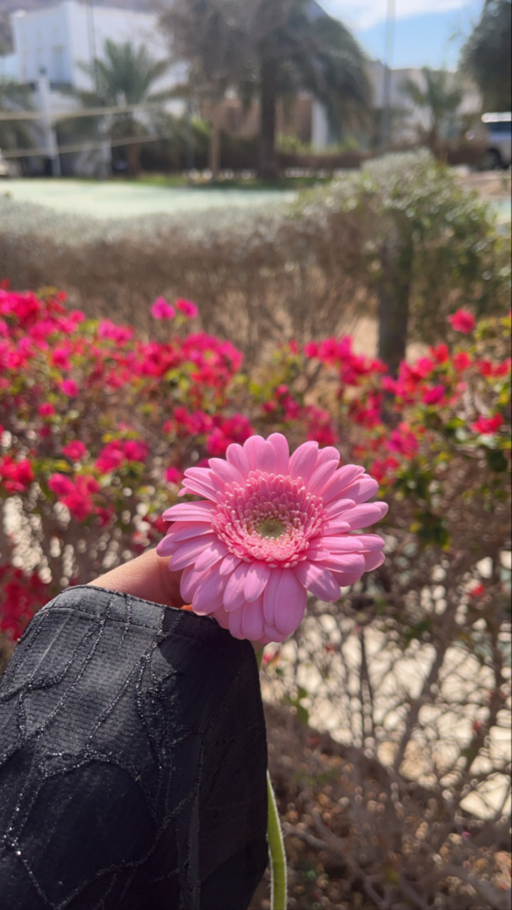 محتوى سناب شات لـ Ruba.