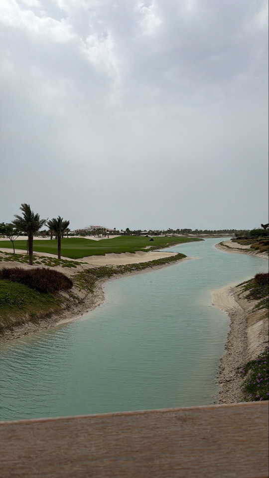 ffalsaud1