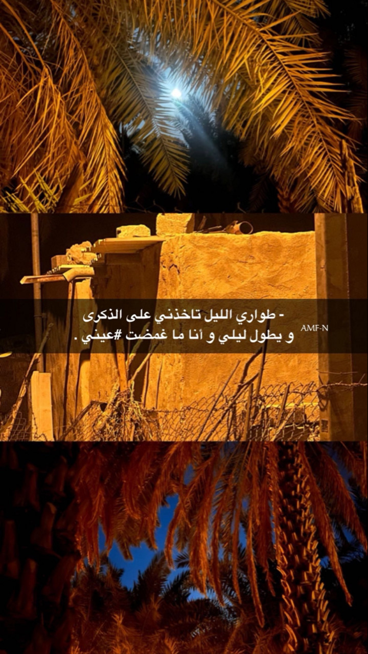 محتوى سناب شات لـ أحمد آل مسعود.