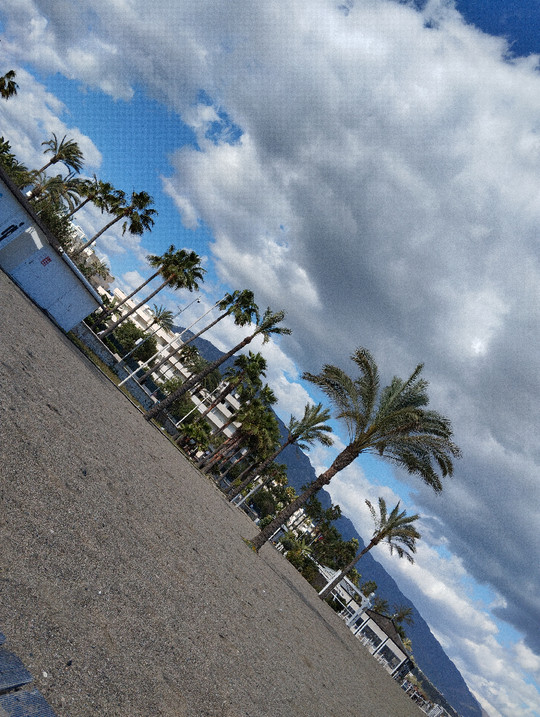 alisamaus