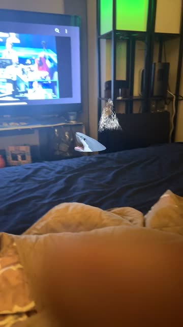 Preview for a Spotlight video that uses the Shark Week IRL Lens