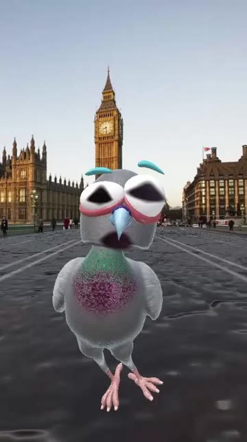 Preview for a Spotlight video that uses the Pigeon of London Lens