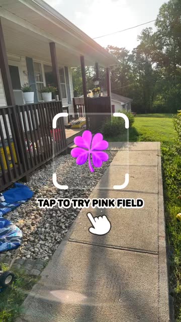 Preview for a Spotlight video that uses the Pink Grass Field Lens