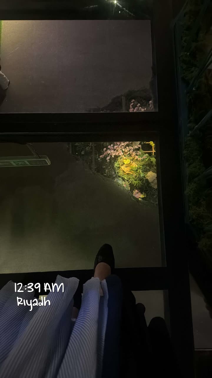 محتوى سناب شات لـ وِدّ عبدالإله