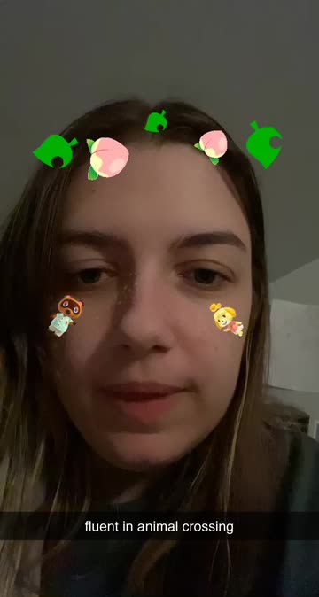 Preview for a Spotlight video that uses the animal crossing Lens
