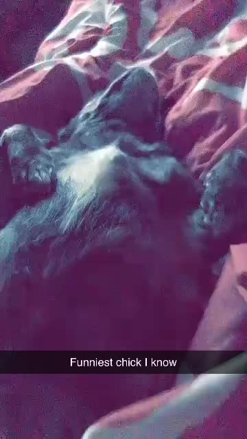 princessbails