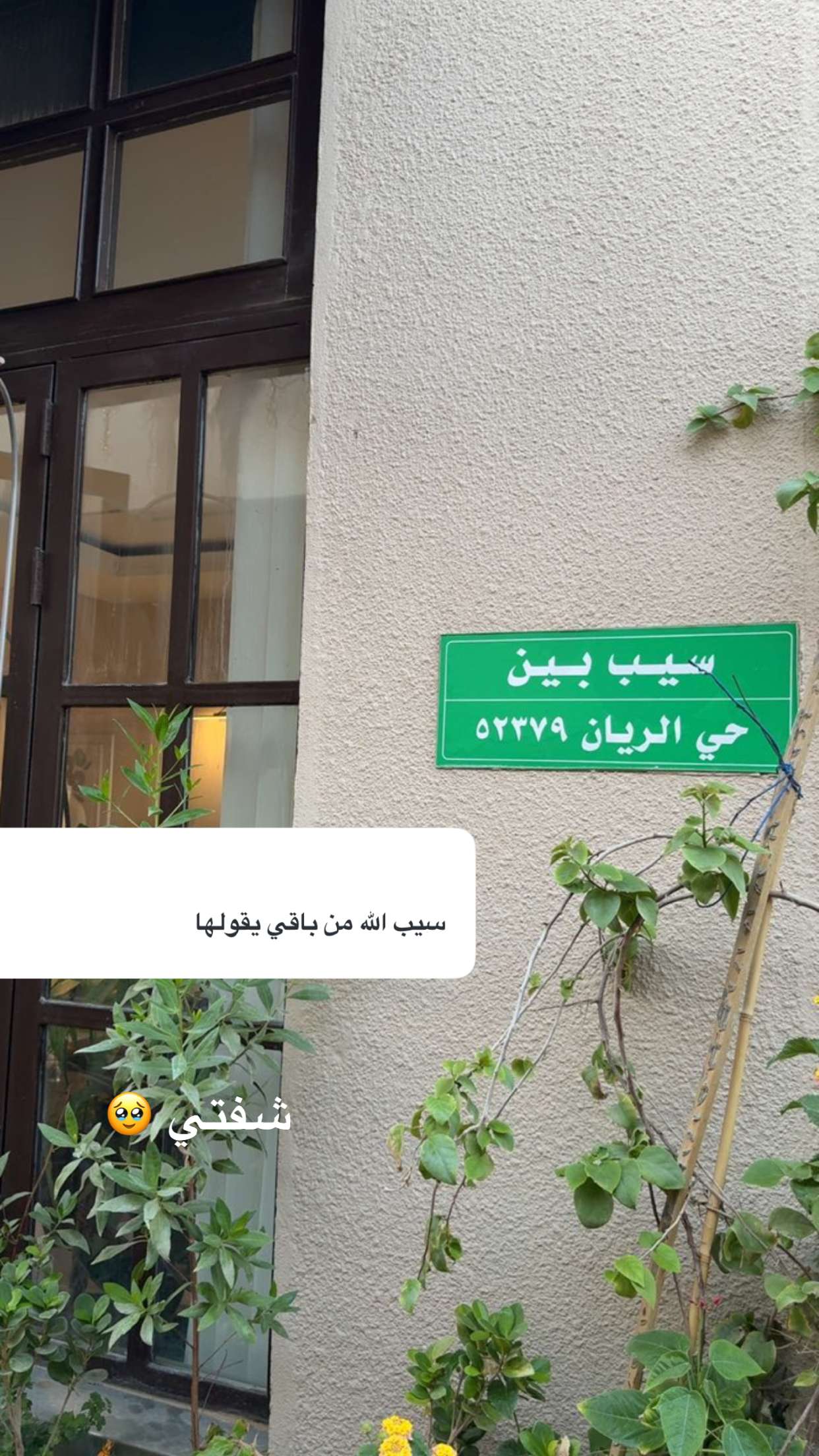 محتوى سناب شات لـ مها الصيخان 🍃☕️🎨
