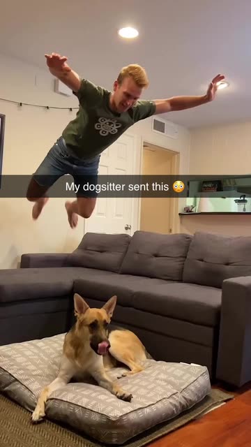 My Dogsitter Sent This 😳 | Spotlight On Snapchat