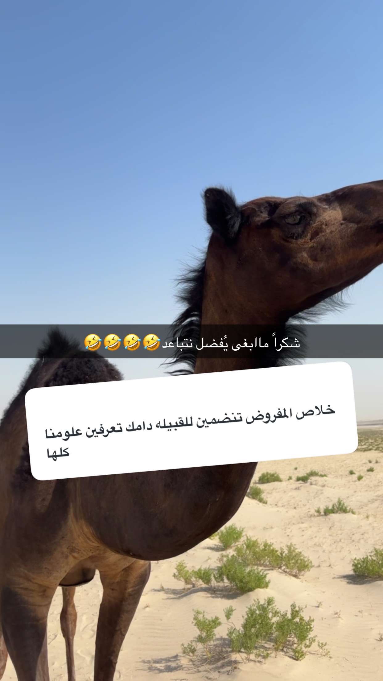 محتوى سناب شات لـ رهَـيــِف🪶