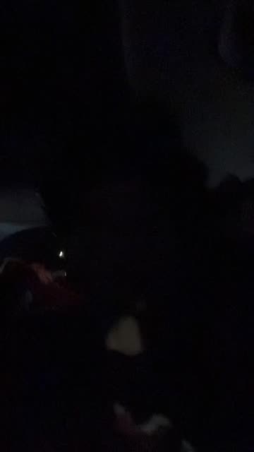 Preview for a Spotlight video that uses the Munch Lens