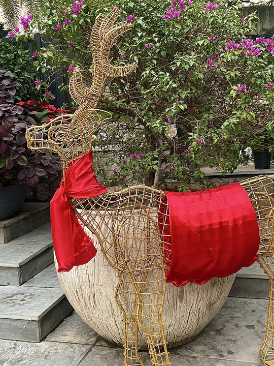 rahuladhikari13