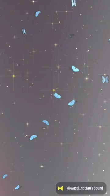 Preview for a Spotlight video that uses the Butterfly & Sparkle Lens