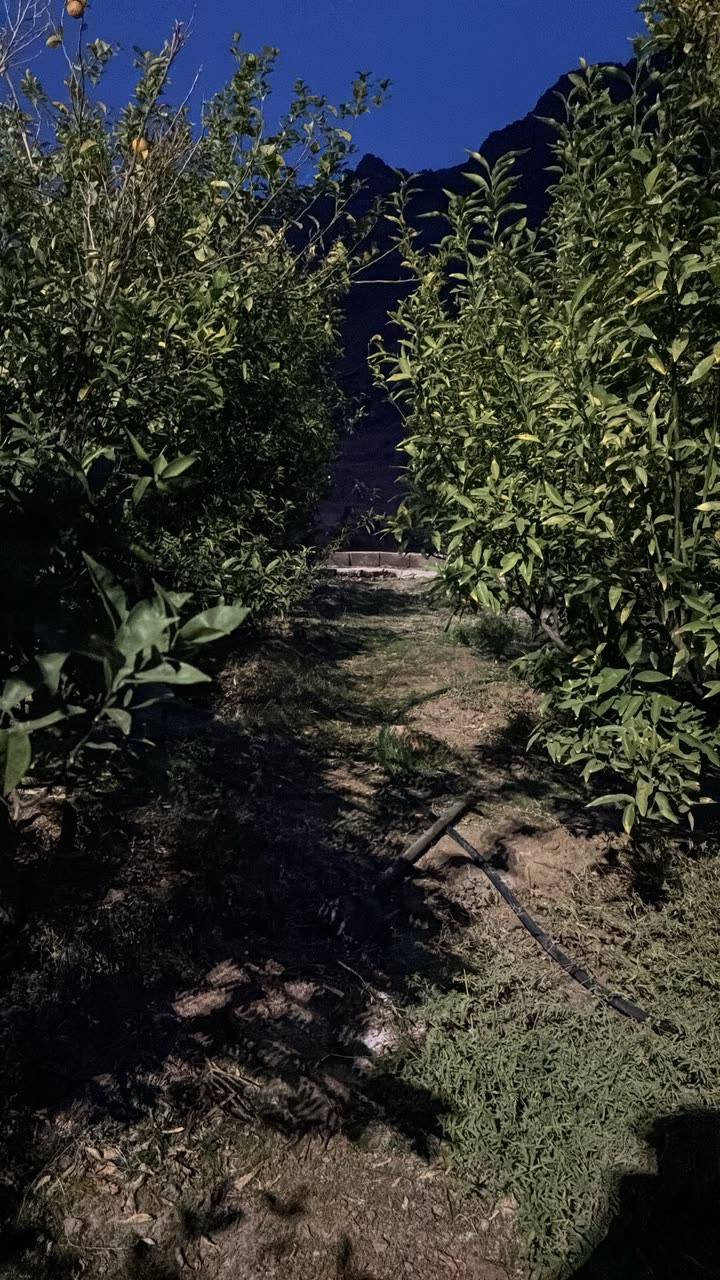 محتوى سناب شات لـ حاتم الرَقييباء .