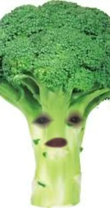 Preview for a Spotlight video that uses the Talking Broccoli Lens