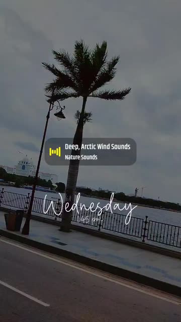 Preview for a Spotlight video that uses the A Thursday Lens