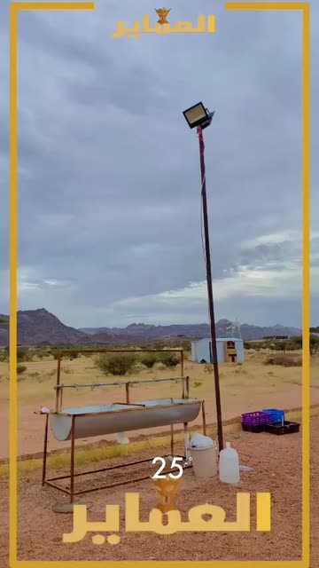 Preview for a Spotlight video that uses the camels1 Lens