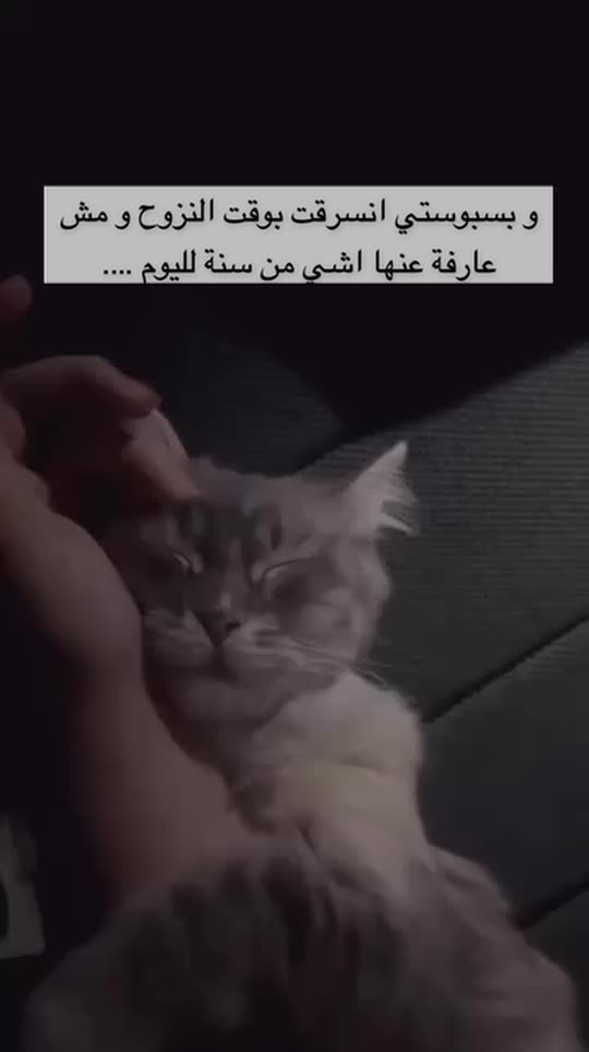 deema_jayab