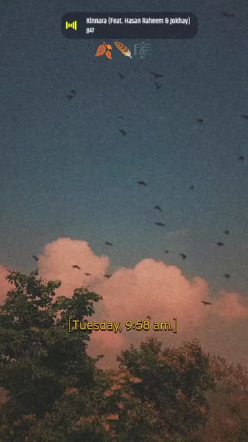 Preview for a Spotlight video that uses the Sky Birds Lens
