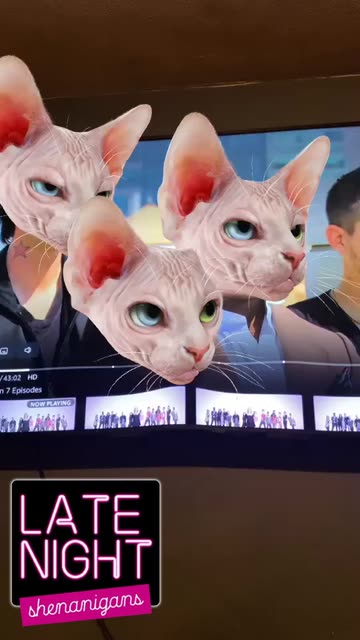 Preview for a Spotlight video that uses the Sphinx Cat Lens