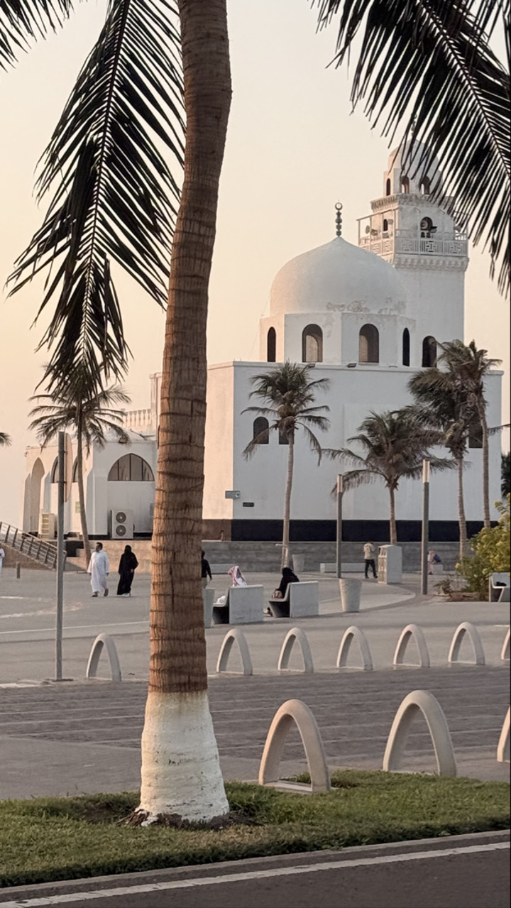 قصة سناب شات للحساب mr.zizo0o رقم 323