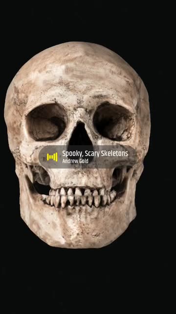 Preview for a Spotlight video that uses the skeleton Lens