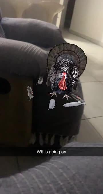 Preview for a Spotlight video that uses the Thanksgiving Feast Lens