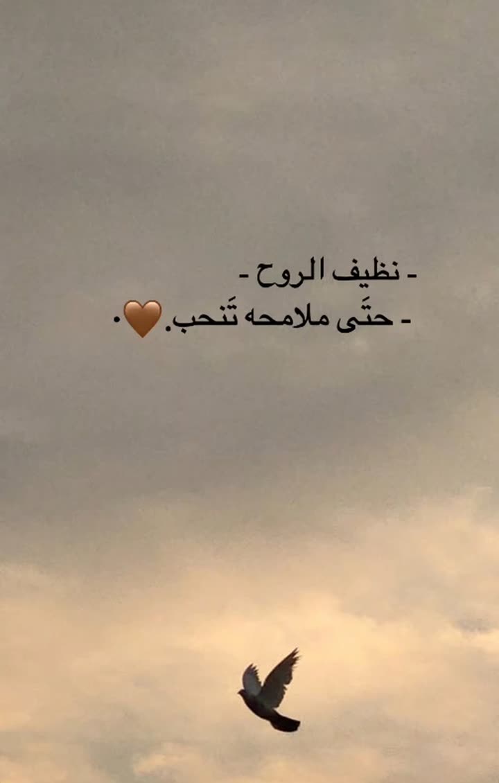 محتوى سناب شات لـ ركن الاشقر