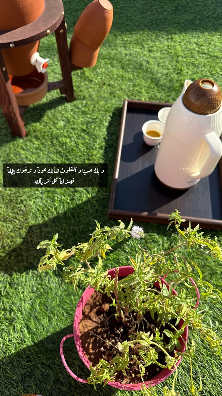 محتوى سناب شات لـ Şħόùq Al-Saiari ✨🧸🌿