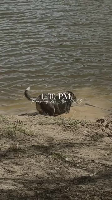 Preview for a Spotlight video that uses the Day O Clock Lens