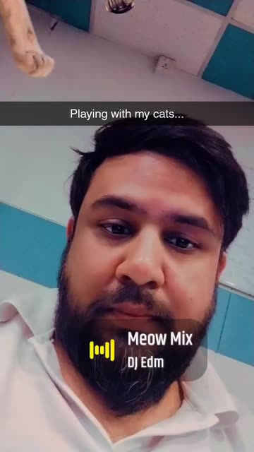 Preview for a Spotlight video that uses the Paws on Face Lens