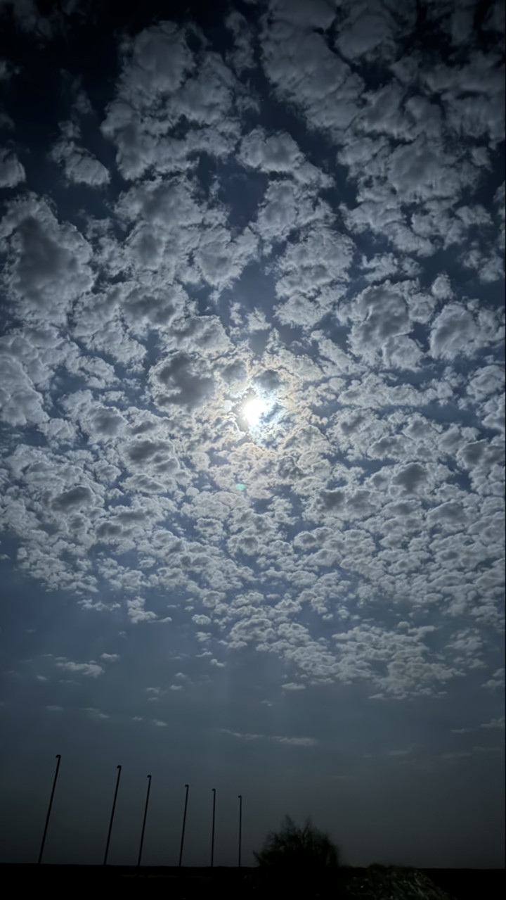 محتوى سناب شات لـ .‏ ‏𝙰𝙽𝙰𝚂