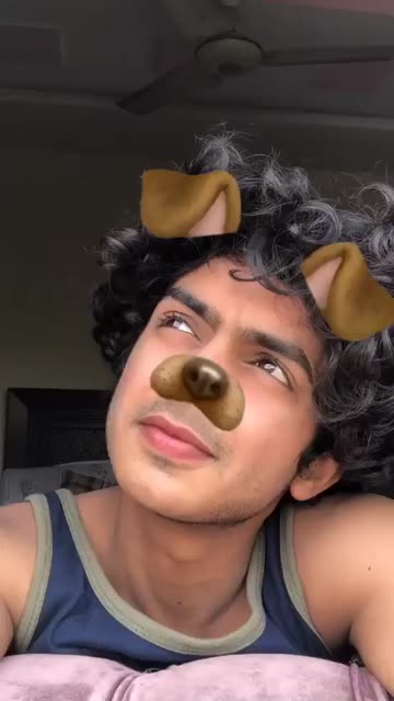 Preview for a Spotlight video that uses the Dog Cute Doggie Lens