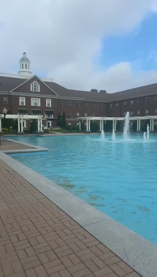 michelleamy38