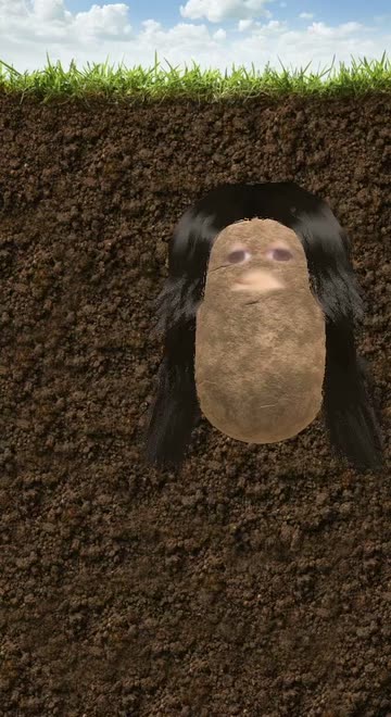Preview for a Spotlight video that uses the Potato Black hair Lens