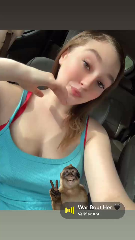 alyssastephen41