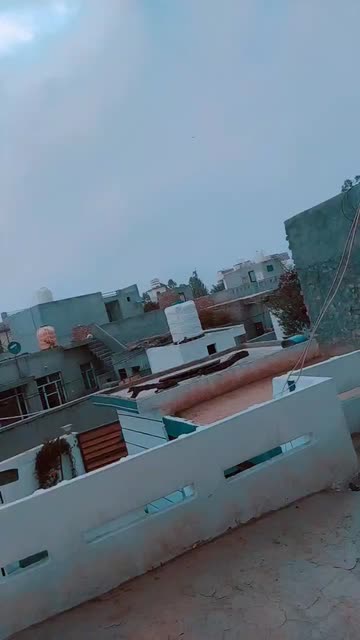 Preview for a Spotlight video that uses the VIP Lens