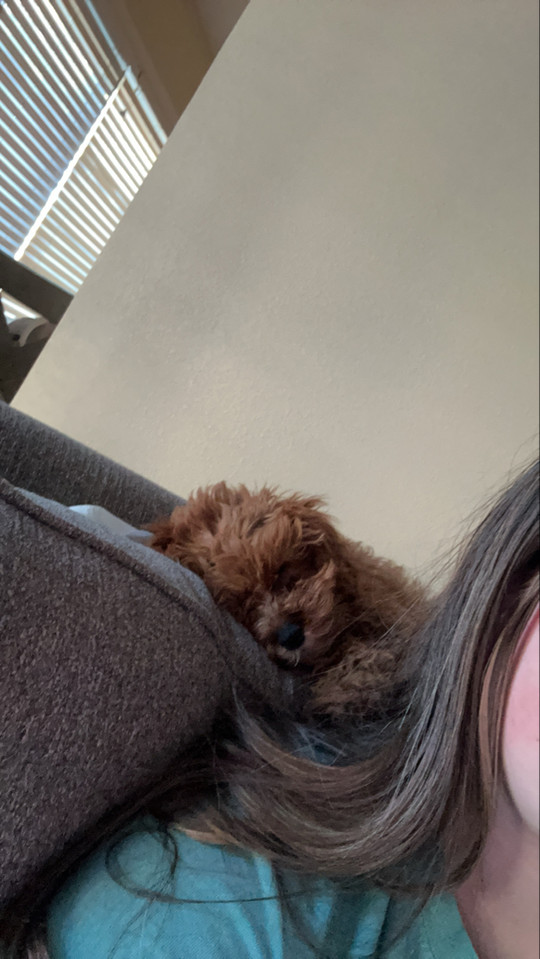 maddie-maries