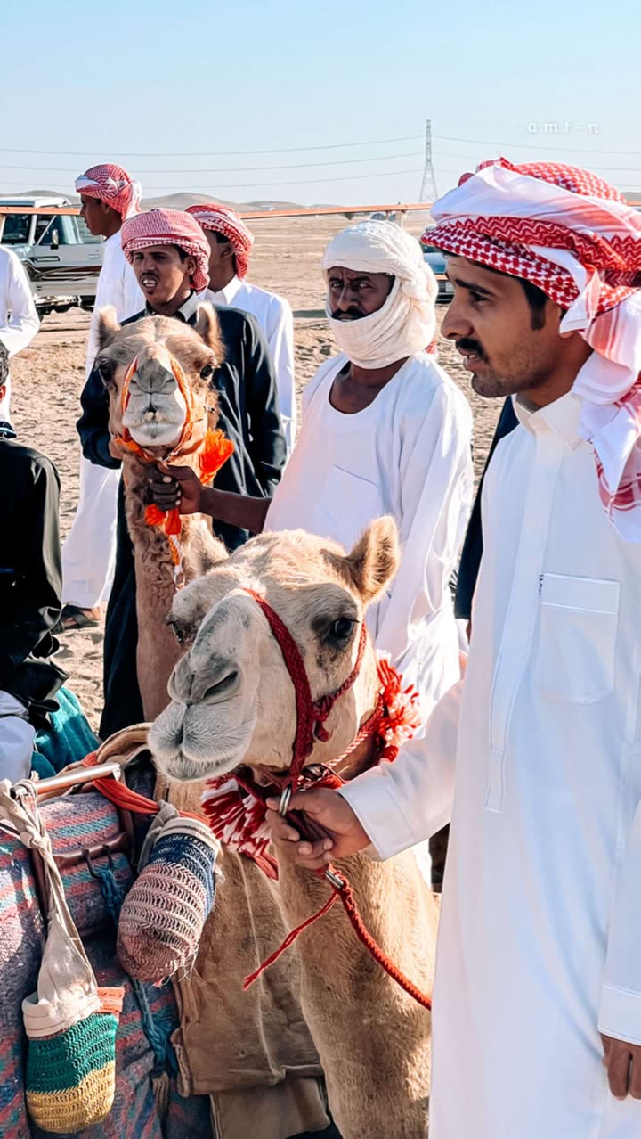 محتوى سناب شات لـ أحمد آل مسعود.
