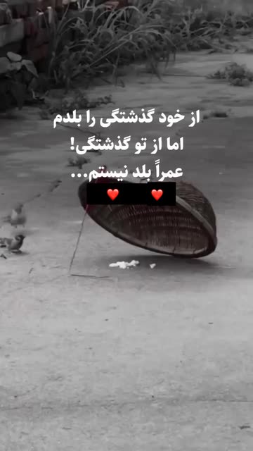 Spotlight content by a Snapchat user